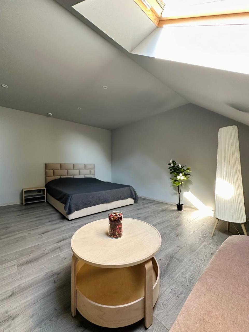 Apartment апарт на маланчука Chernivtsi